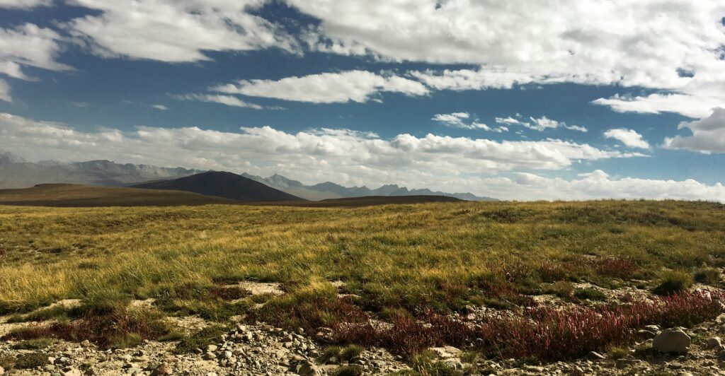 Deosai National Park
